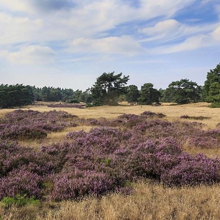 Вилла Chalet Op De Veluwe # Berk Пюттен Экстерьер фото