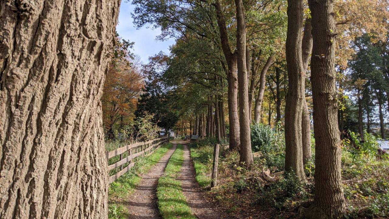 Chalet Op De Veluwe # Berk Пюттен Экстерьер фото