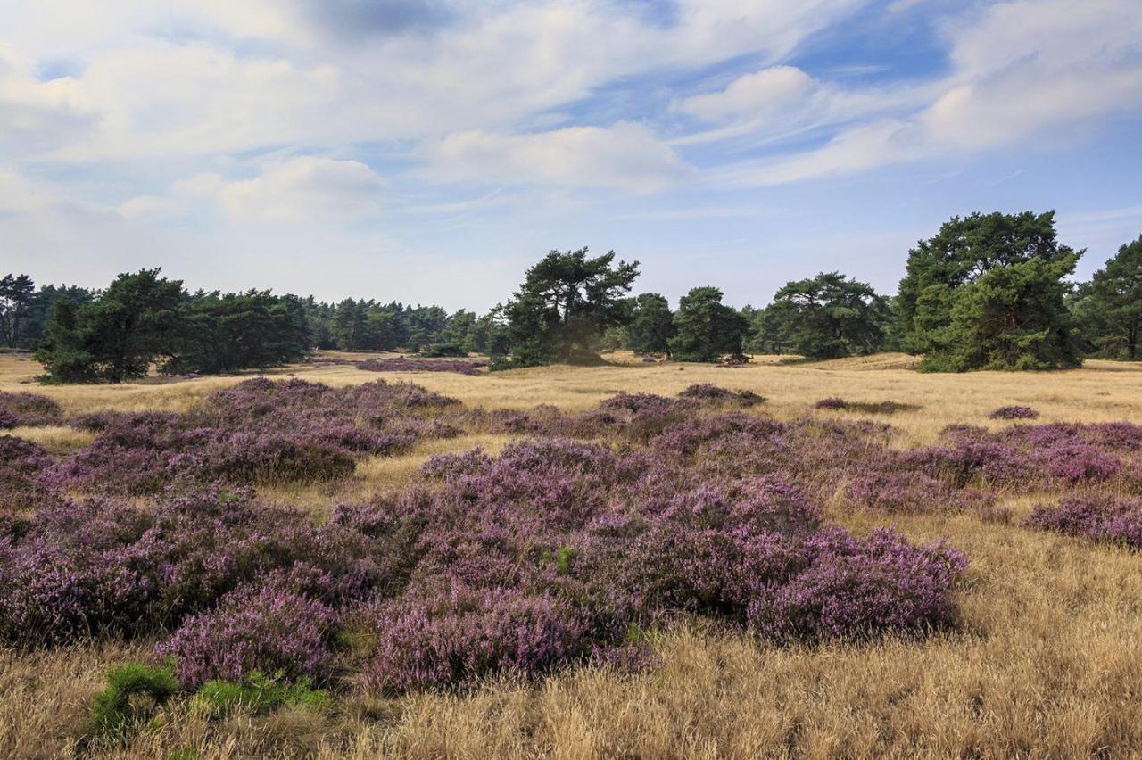 Chalet Op De Veluwe # Berk Пюттен Экстерьер фото