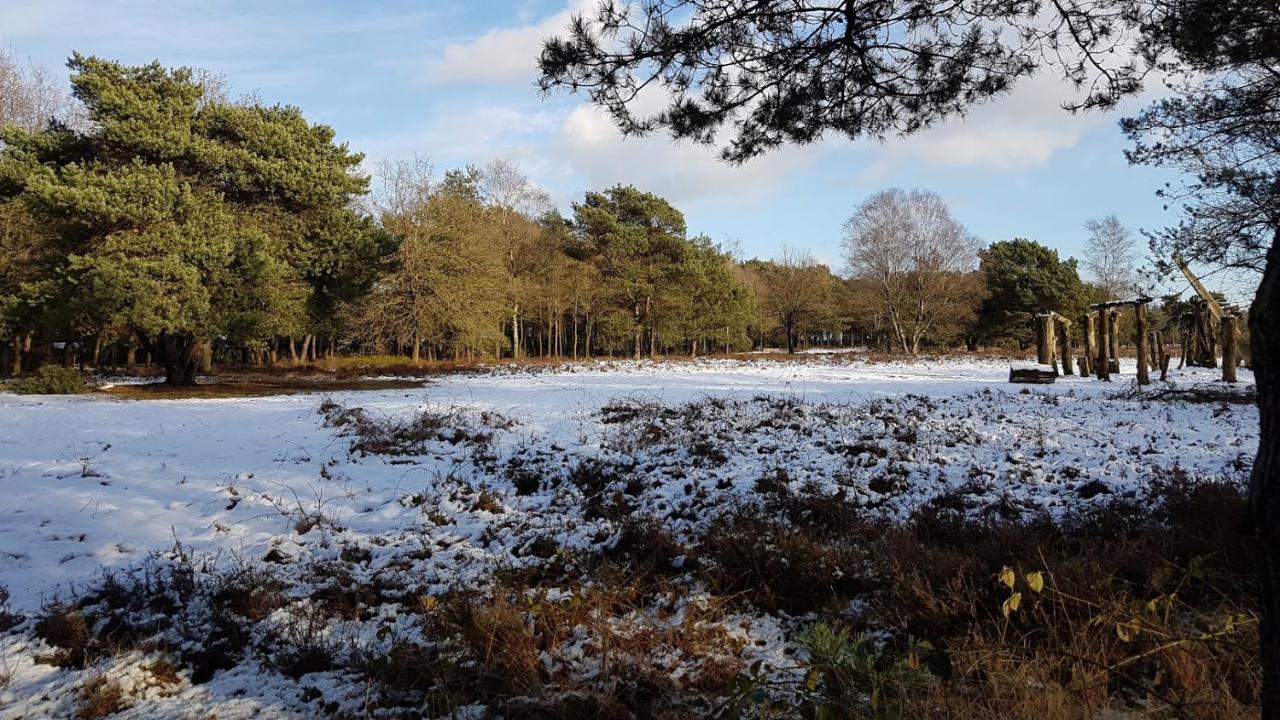 Chalet Op De Veluwe # Berk Пюттен Экстерьер фото